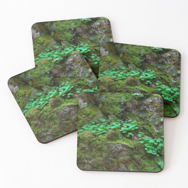 Item preview, Green moss in the forest designed and sold by Adelaide-Lkn.