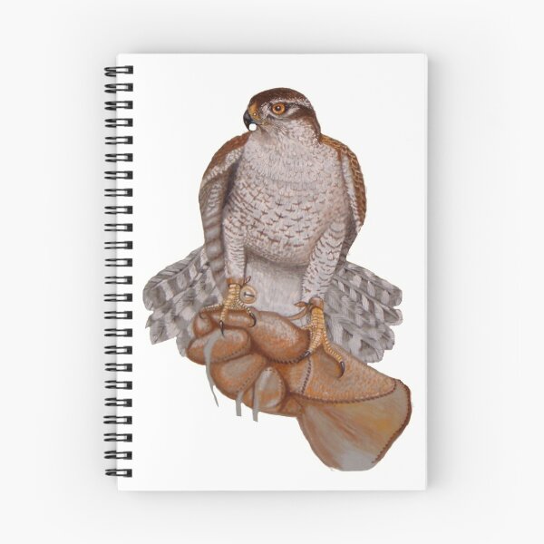Item preview, Goshawk on glove designed and sold by Fozzyartsales.