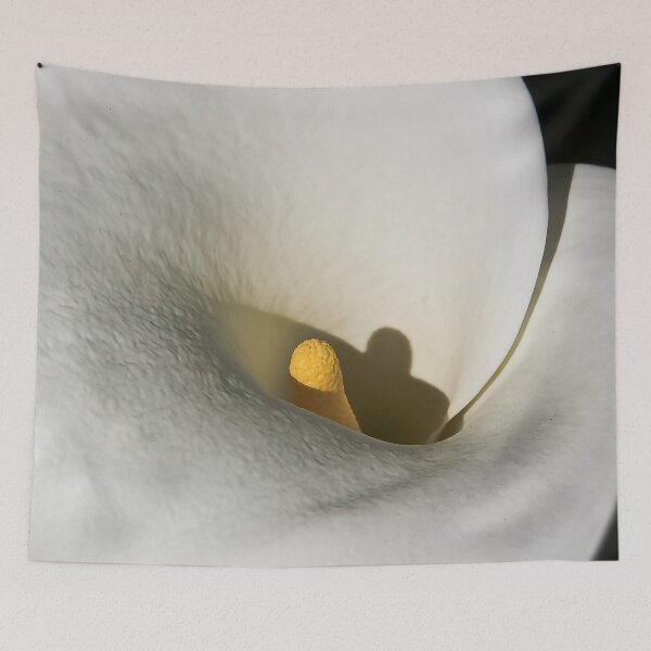 Item preview, Tribute to O'Keefe designed and sold by heatherfriedman.