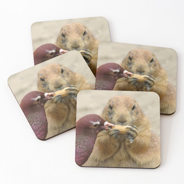 Item preview, Prairie dog and pigeon with hazelnuts designed and sold by gallofoto.