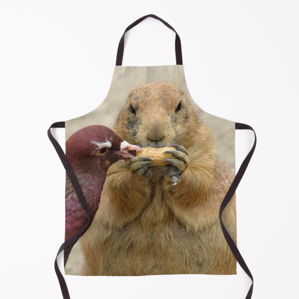 Item preview, Prairie dog and pigeon with hazelnuts designed and sold by gallofoto.