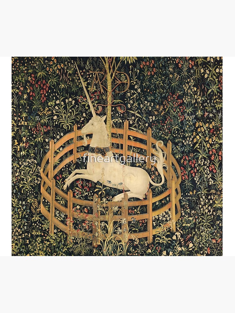 The Unicorn In Captivity