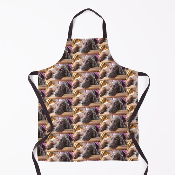 Item preview, ¡Solo estableciendo! designed and sold by Mythen.