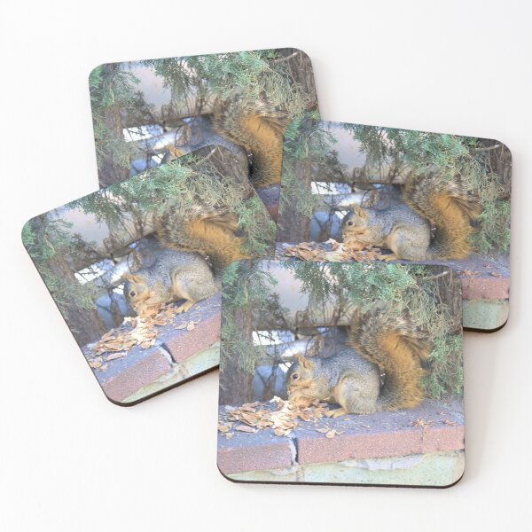 Item preview, Squirrel Photo designed and sold by Redjiggs.