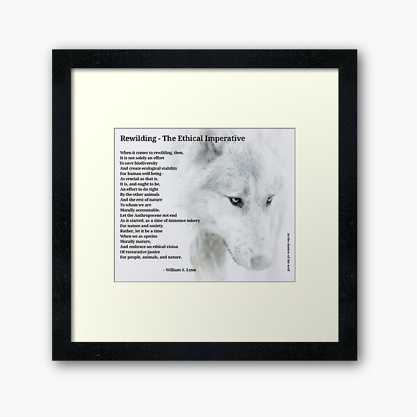 Framed Print