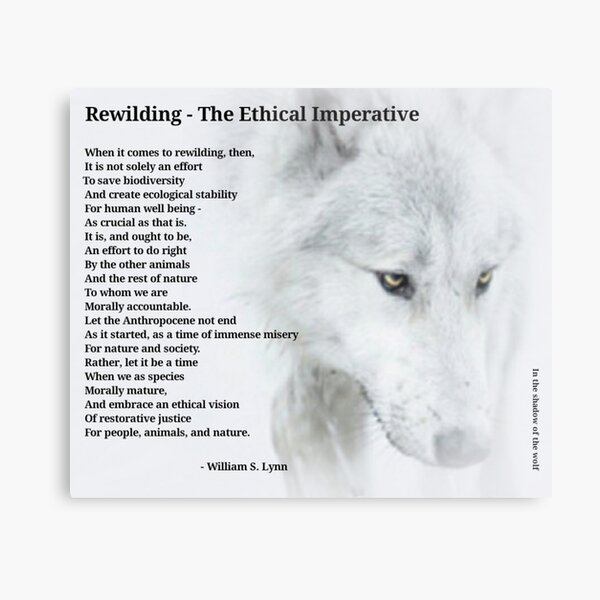 Metal Print