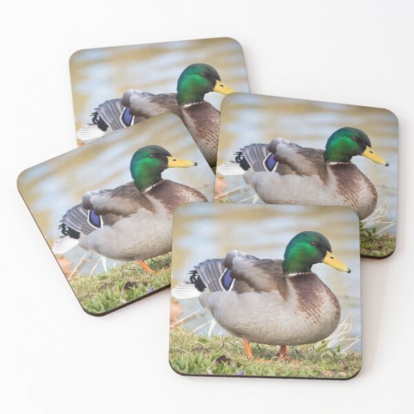 Item preview, A Photogenic Duck designed and sold by pjw-pics.