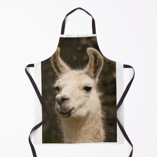 Item preview, Llama designed and sold by Jon Lees.