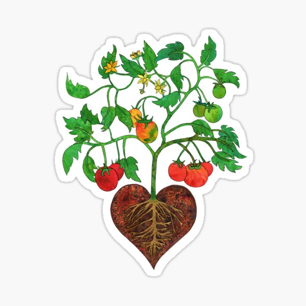 Tomatoes Heal My Heart Sticker