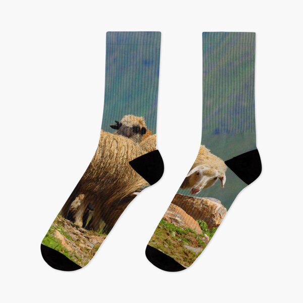 Item preview,  Sheep on the mountain designed and sold by Adelaide-Lkn.