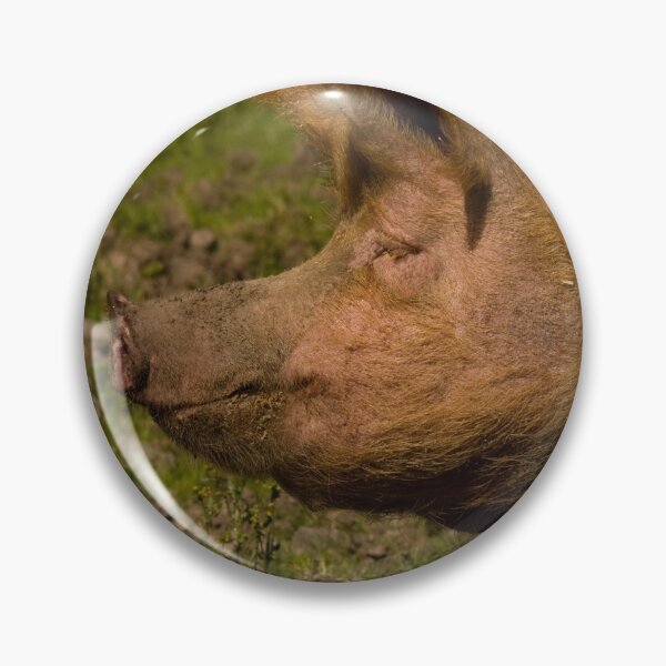 Item preview, Happy as a pig in s!*t designed and sold by Jon Lees.