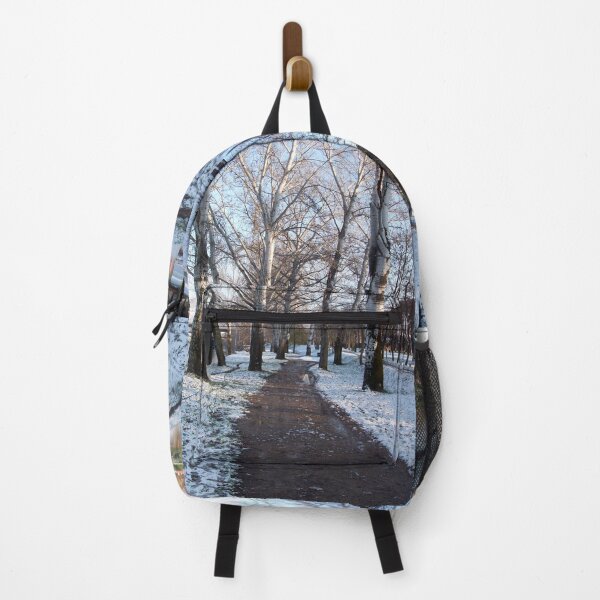 Item preview, BIRCH TREES ROAD IN SNOW NEAR ARNO RIVER, WINTER LANDSCAPE IN TUSCANY FLORENCE Photo designed and sold by BulganLumini.