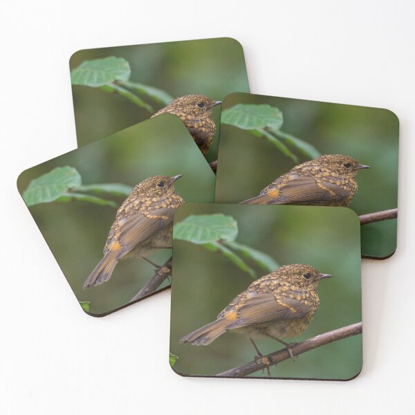 Item preview,  Little Bird on a Branch designed and sold by pjw-pics.