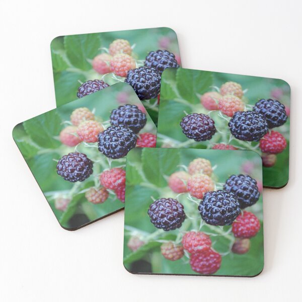 Item preview, Raspberries for the Week designed and sold by MarjorieB.