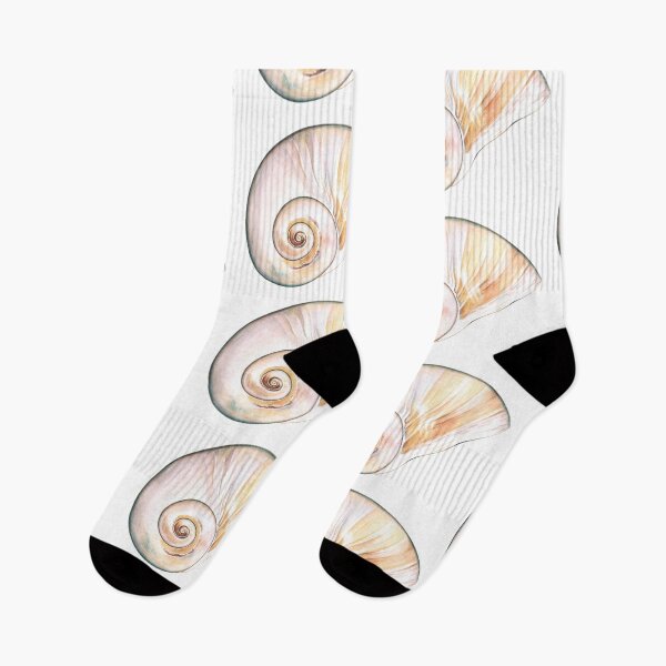 Item preview, Northern Moonsnail (Lunatia heros) designed and sold by Tamara Clark.