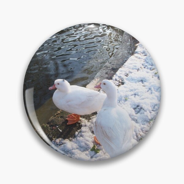 Item preview, WHITE DUCKS WALKING ON THE WINTER SNOW TUSCANY FLORENCE Photo designed and sold by BulganLumini.