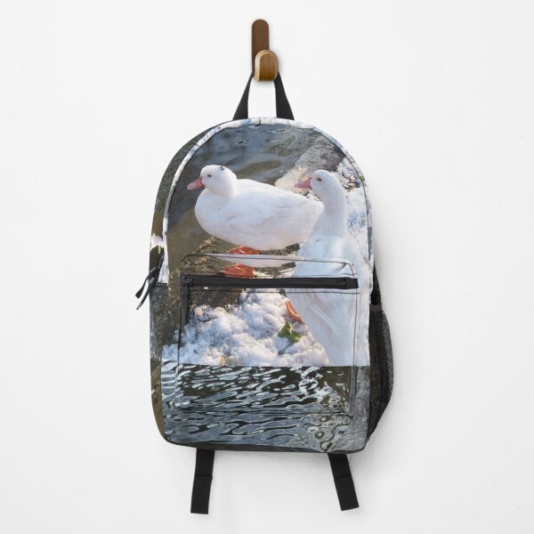 Item preview, WHITE DUCKS WALKING ON THE WINTER SNOW TUSCANY FLORENCE Photo designed and sold by BulganLumini.