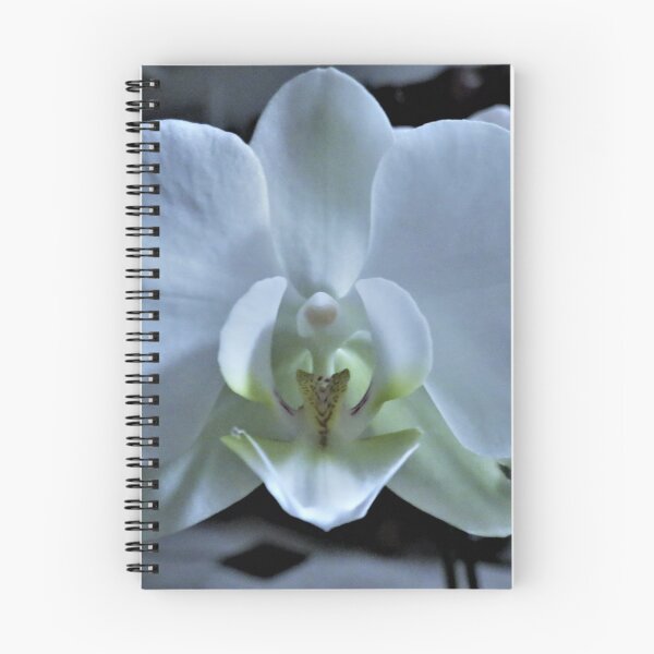 Item preview, Intoxication designed and sold by Diane Arndt.