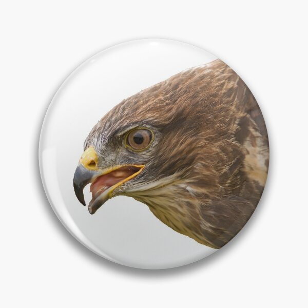 Item preview, Buzzard 2 designed and sold by Jon Lees.