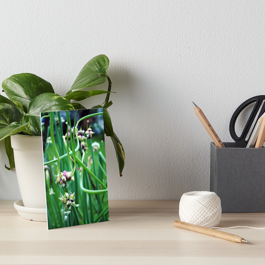 Item preview, Art Board Print designed and sold by MarjorieB.