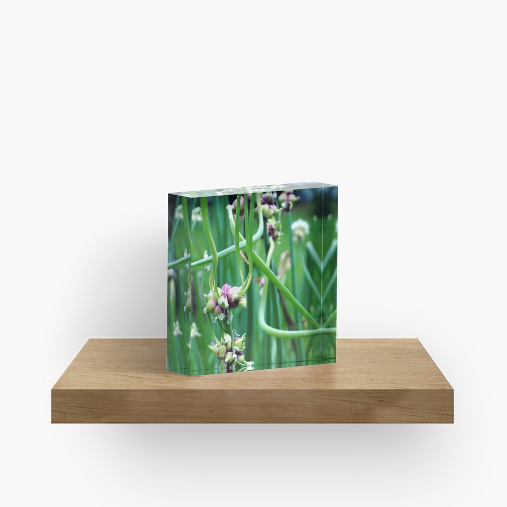 Item preview, Acrylic Block designed and sold by MarjorieB.