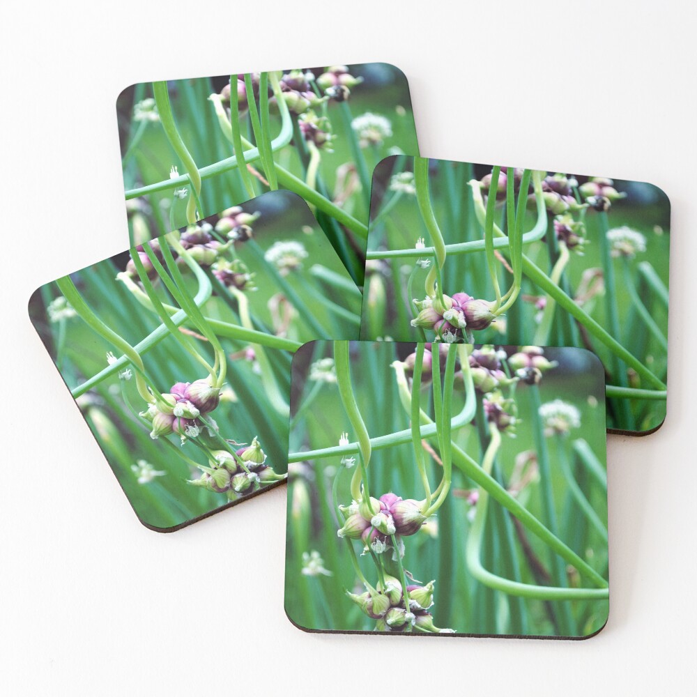 Item preview, Coasters (Set of 4) designed and sold by MarjorieB.