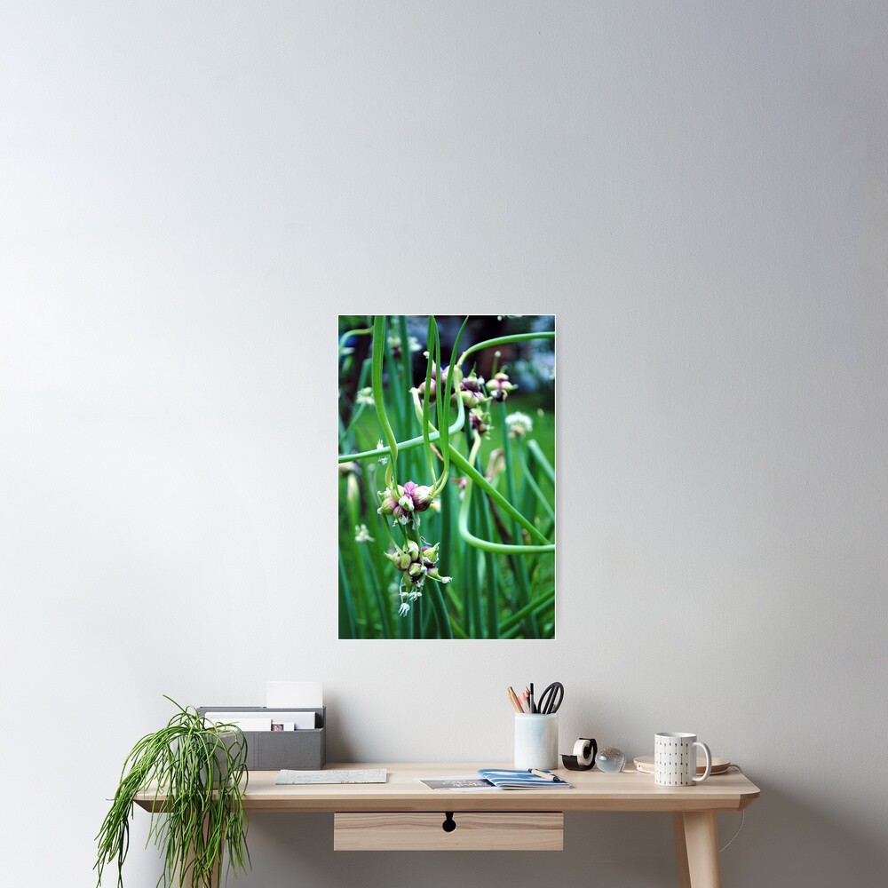 Item preview, Poster designed and sold by MarjorieB.