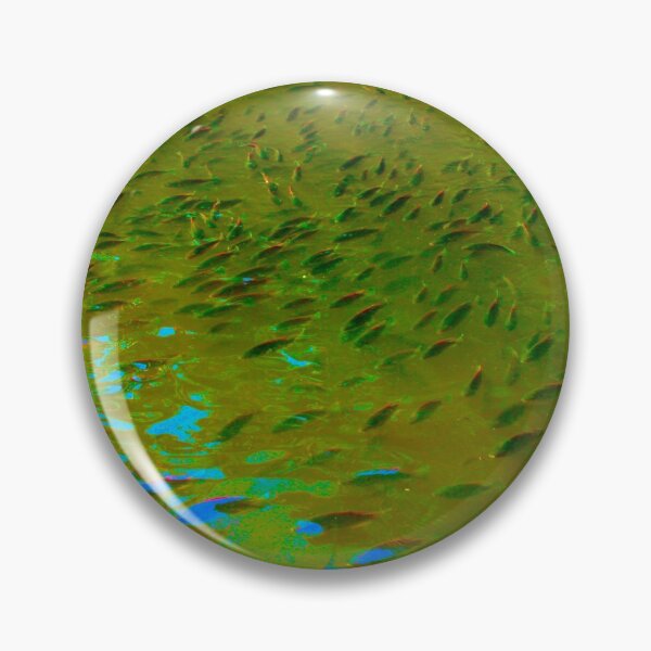 Item preview, Here Fishy Fish - Color Collection designed and sold by Totallyalive.