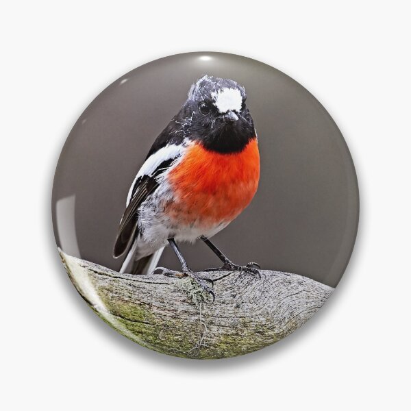 Item preview, Scarlet Robin designed and sold by Robert Elliott.