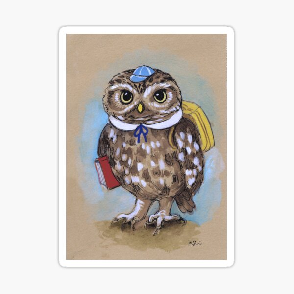 School Boy Owl Cute Back to school design Sticker