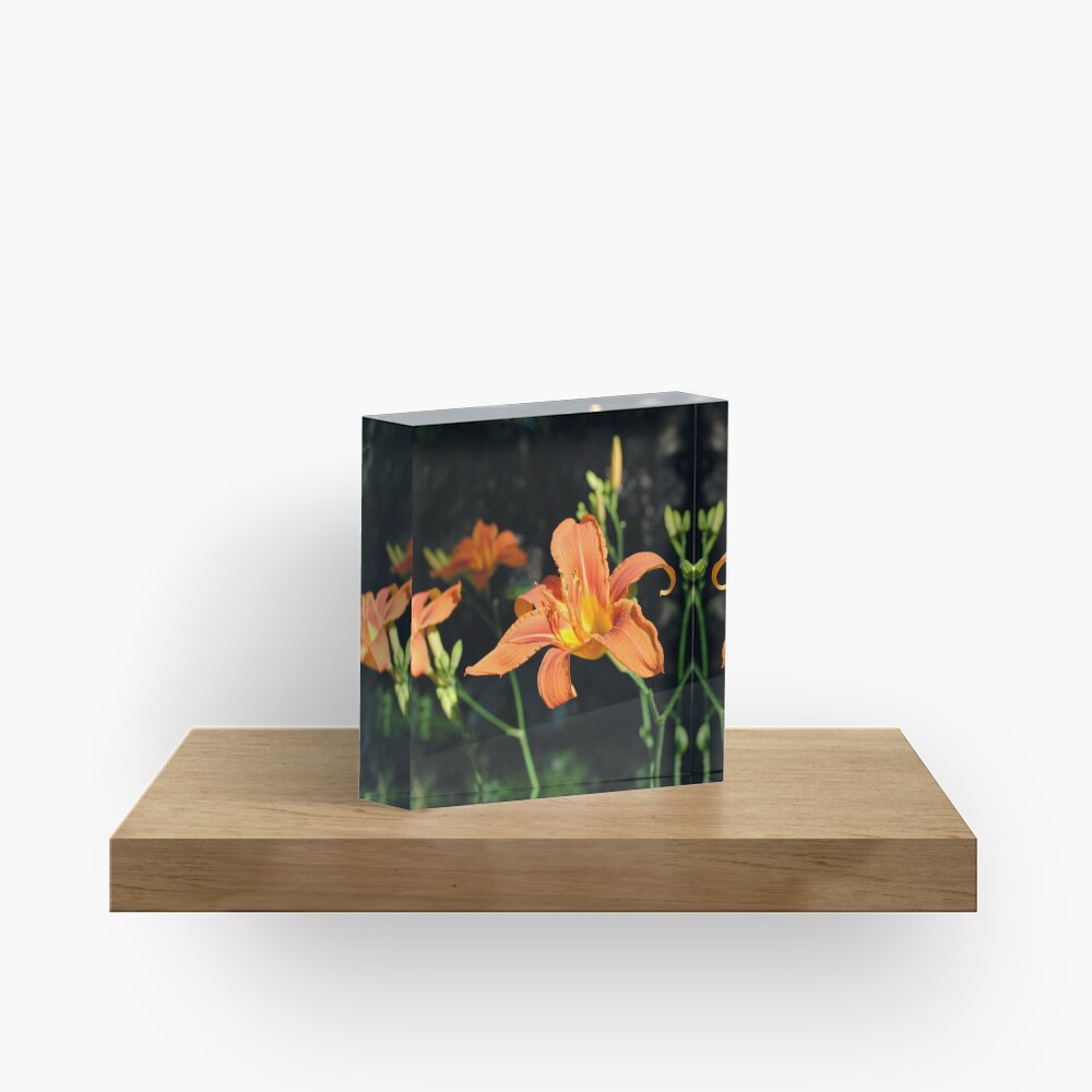Item preview, Acrylic Block designed and sold by MarjorieB.