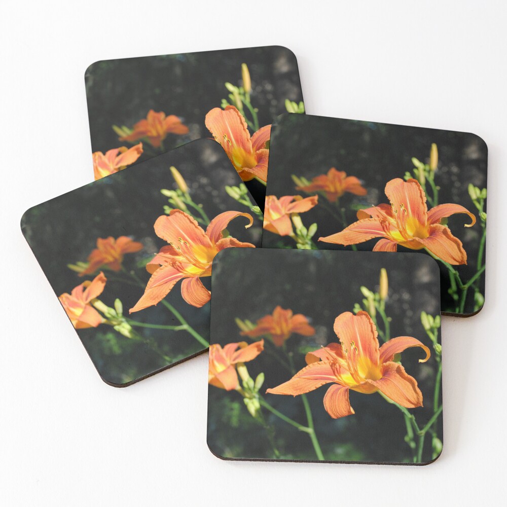 Item preview, Coasters (Set of 4) designed and sold by MarjorieB.