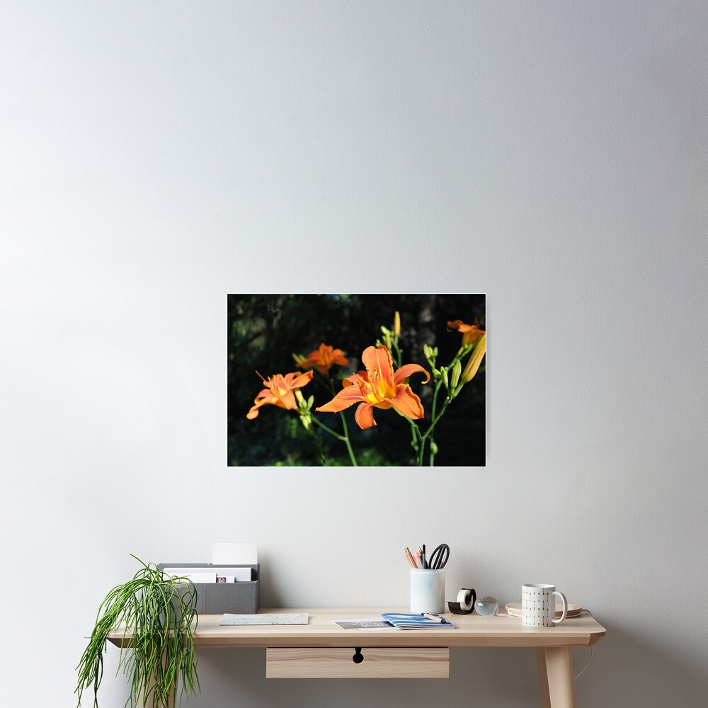 Item preview, Poster designed and sold by MarjorieB.