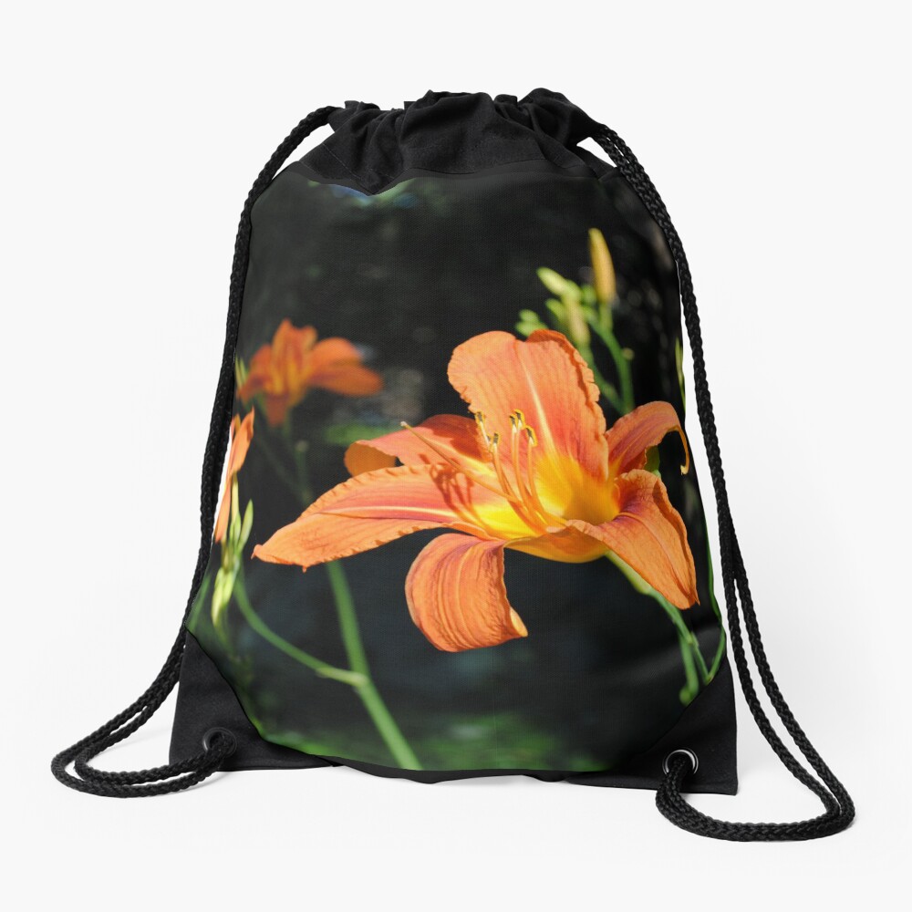 Item preview, Drawstring Bag designed and sold by MarjorieB.