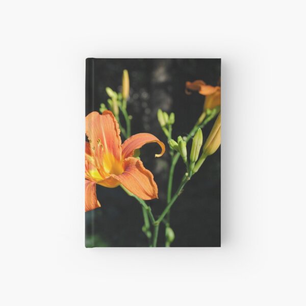 Last Sunbeam of a Summer''s Day Hardcover Journal