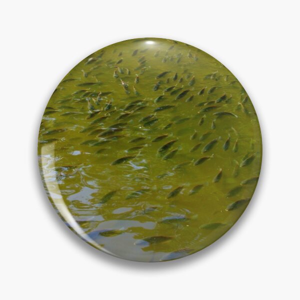 Item preview, Here Fishy Fish - Color Collection designed and sold by Totallyalive.