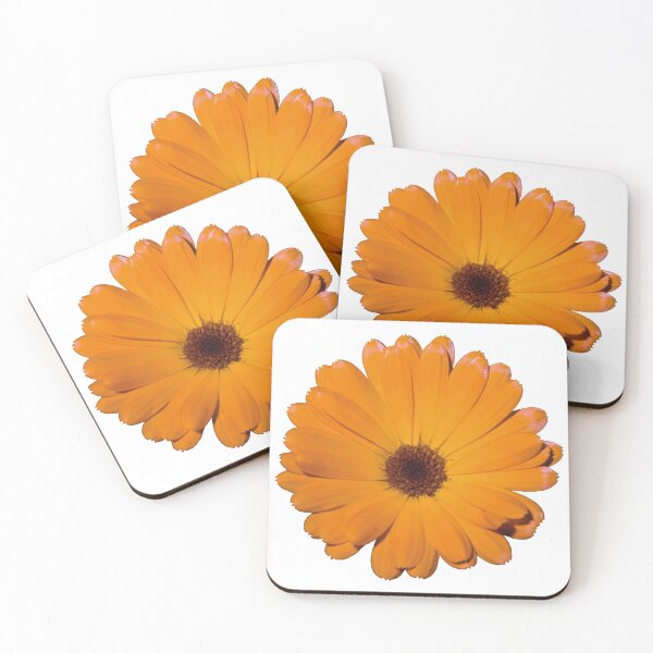 Item preview, Pot Marigold designed and sold by taniasofia.