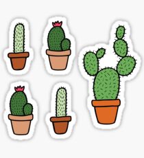 Pink Cactus Pattern Sticker