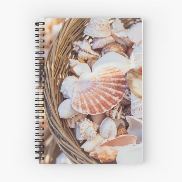 Item preview, Beautiful Seashells in Baskets in White Rock, BC designed and sold by Amy Mitchell.