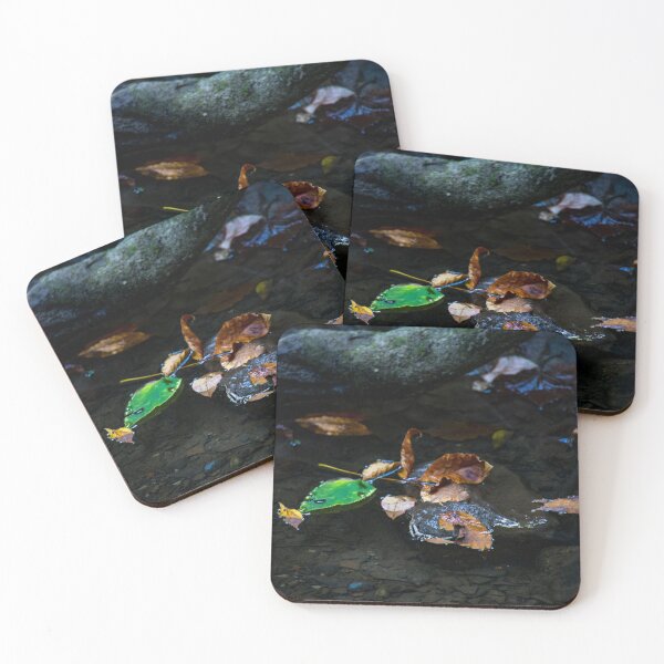 Item preview, Fall Leaves in a small puddle around a tree in the forest designed and sold by Chris Wolford.
