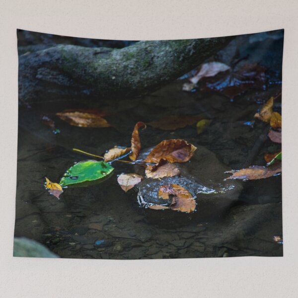 Item preview, Fall Leaves in a small puddle around a tree in the forest designed and sold by Chris Wolford.