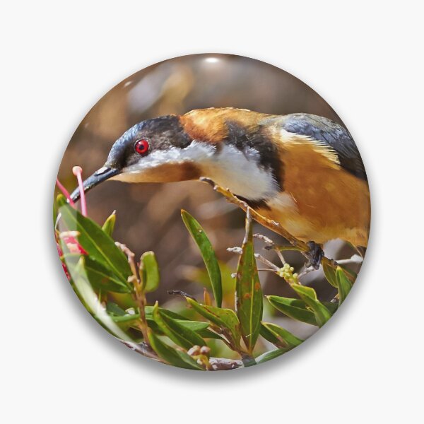 Item preview, Eastern Spinebill designed and sold by Robert Elliott.