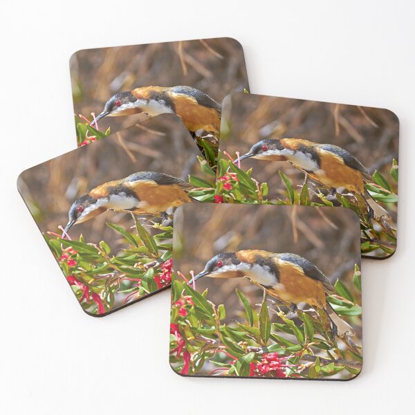 Item preview, Eastern Spinebill designed and sold by Robert Elliott.