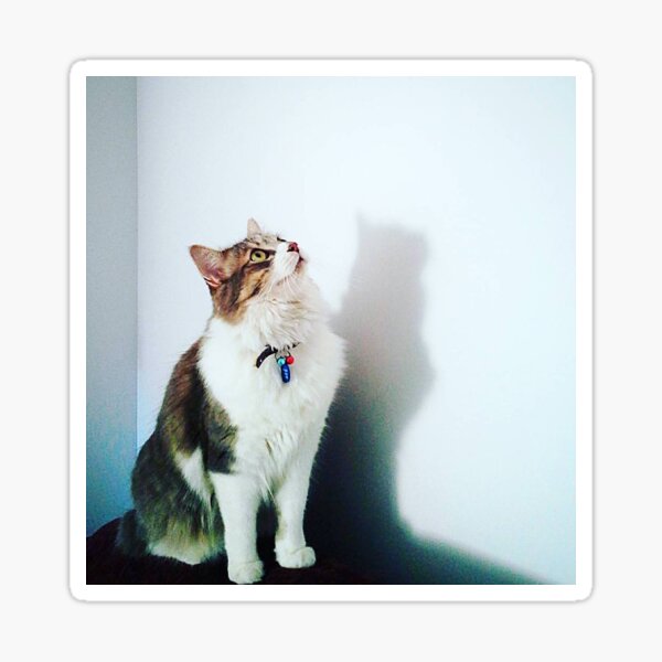 Tiger watching the spider Sticker