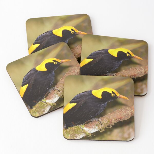 Item preview, Regent Bowerbird designed and sold by Robert Elliott.