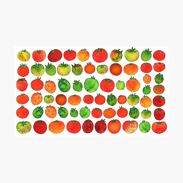 Enchanted Tomatoes Photographic Print