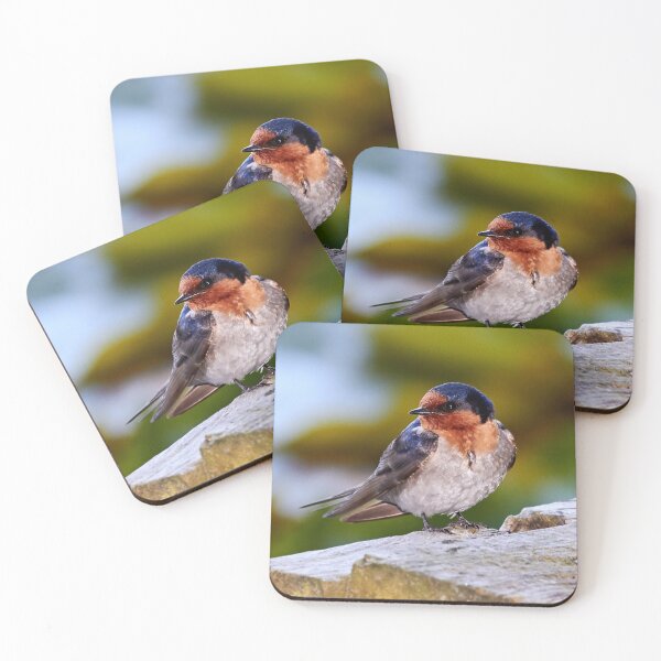 Item preview, Welcome Swallow designed and sold by Robert Elliott.