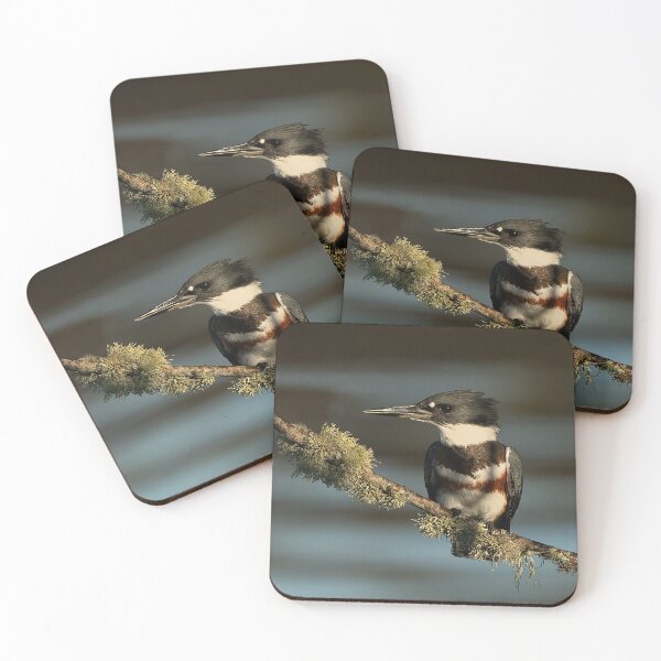 Item preview, Female Belted Kingfisher. designed and sold by oliviasphotos.