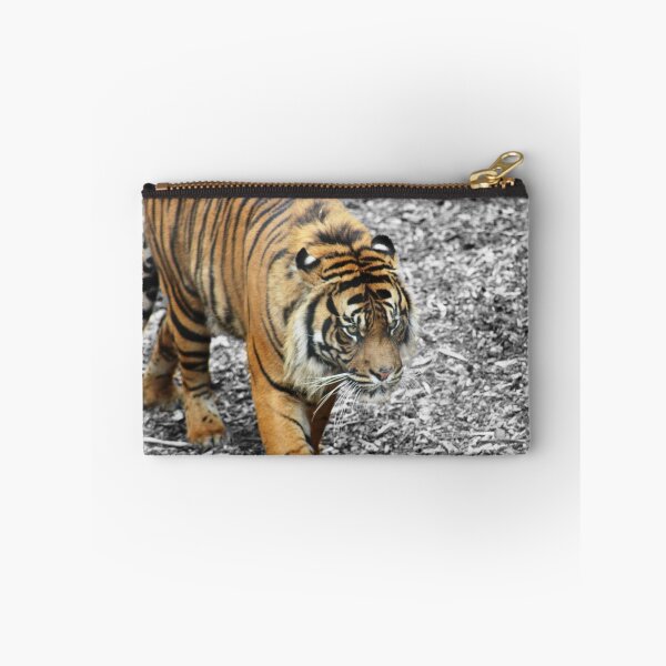Item preview, Tiger, Dudley Zoo designed and sold by JEmerald.