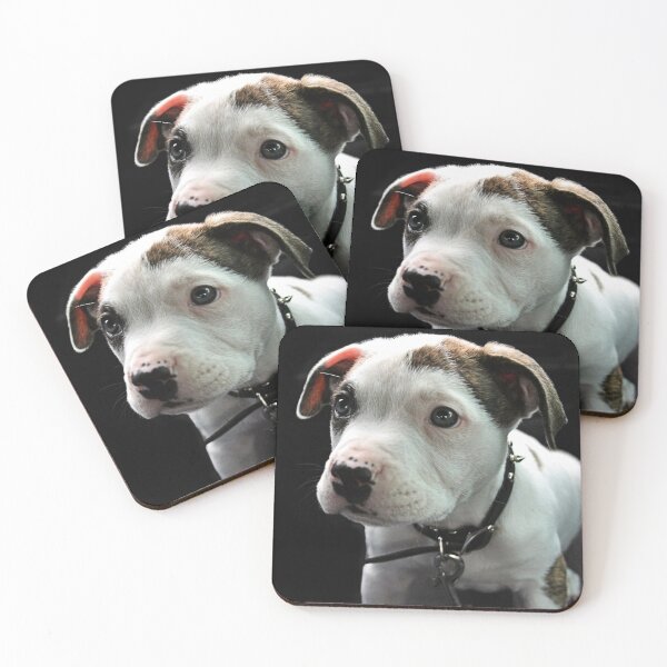 Item preview, Pit Bull T-Bone Puppy designed and sold by HisRuin.